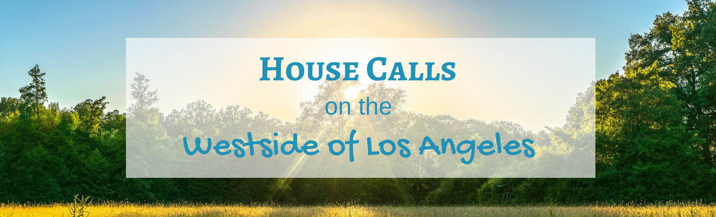 Los Angeles Concierge Therapy House Calls Psychologist