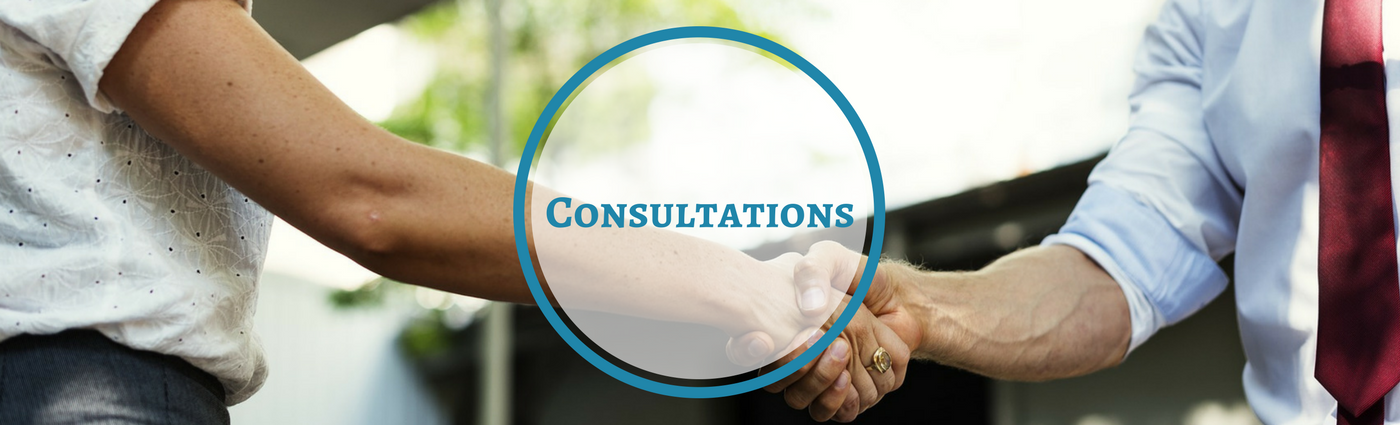 Los Angeles parent consultations parent coaching