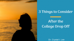 transition to college consulting Los Angeles psychologist 