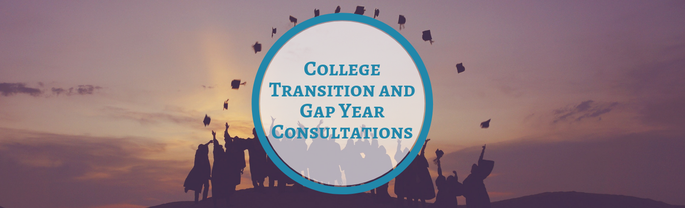 California Los Angeles college transition gap year 360 consultation