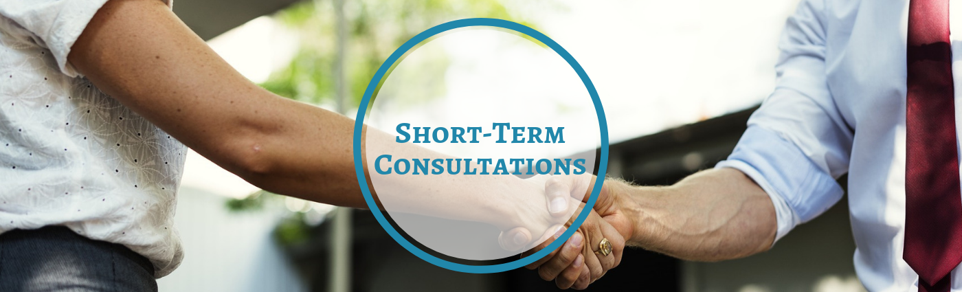 california los angeles short-term consultations electronics use living agreements