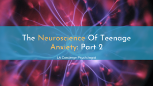 pink and purple synapse on red background