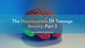 red and green brain on blue and grey background