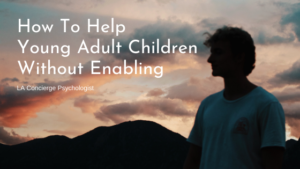 silhouette of person in foreground of sunset above mountain